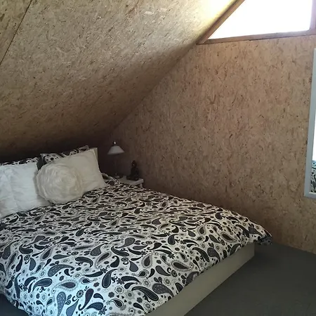 De Duijnbraam Daire *