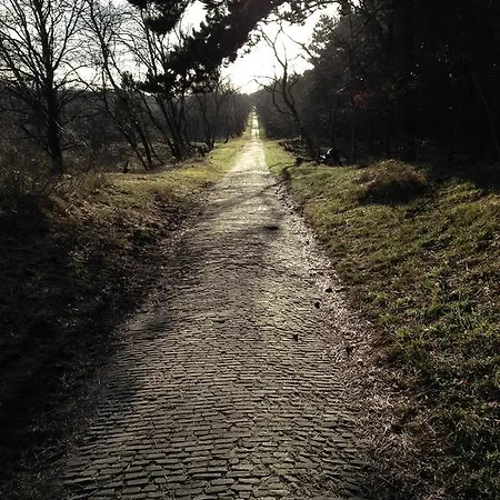 Daire De Duijnbraam Wijk aan Zee